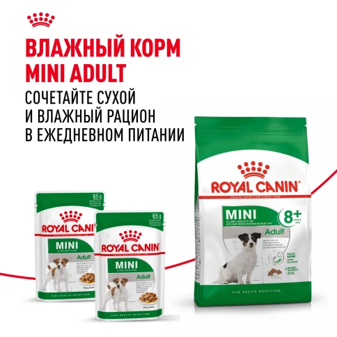 Сухой корм Royal Canin Mini Adult 8+ для пожилых собак, 2 кг фото 6