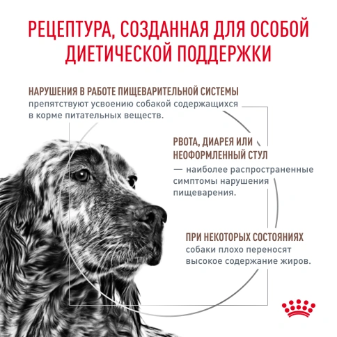 Сухой корм Royal Canin Gastrointestinal Low Fat для собак, 1 кг фото 3