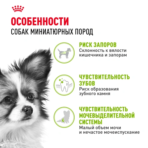 Сухой корм Royal Canin X-Small Adult для собак, 1,5 кг фото 2