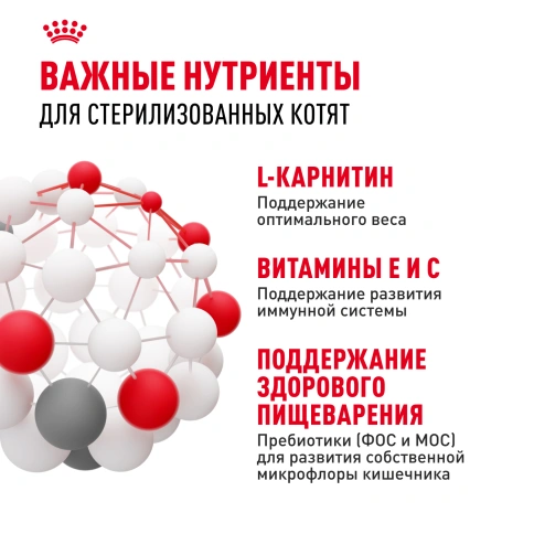 Сухой корм Royal Canin Kitten Sterilised для котят, 400 г фото 5