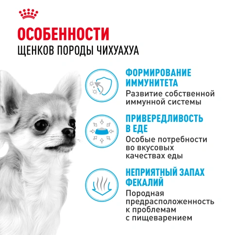 Сухой корм Royal Canin Chihuahua Puppy для щенков породы чихуахуа, 500 г фото 6