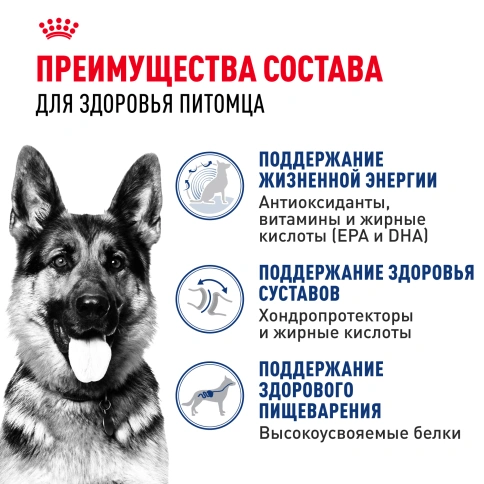 Сухой корм Royal Canin Maxi Ageing 8+ для собак, 3 кг фото 3