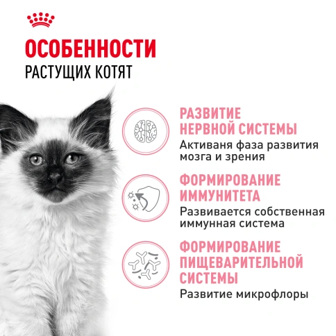 Сухой корм Royal Canin Kitten для котят, 10 кг фото 2