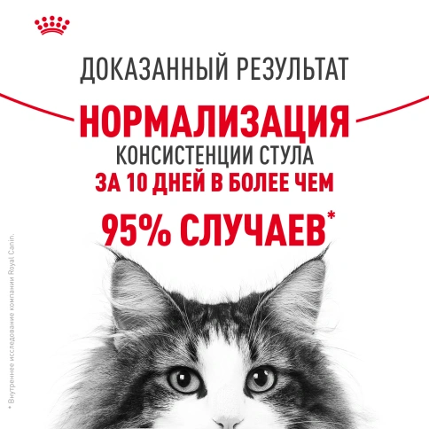 Влажный корм Royal Canin Digest Sensitive в соусе для улучшения пищеварения у взрослых кошек старше 1 года, пауч, 85 г фото 4