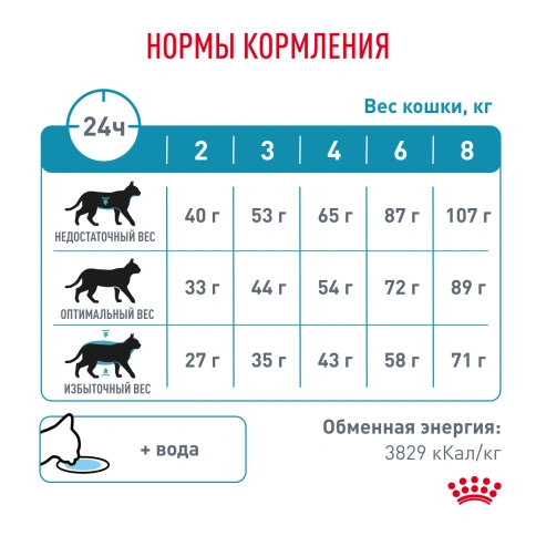 Сухой корм Royal Canin Skin & Coat для кошек, 3,5 кг фото 7