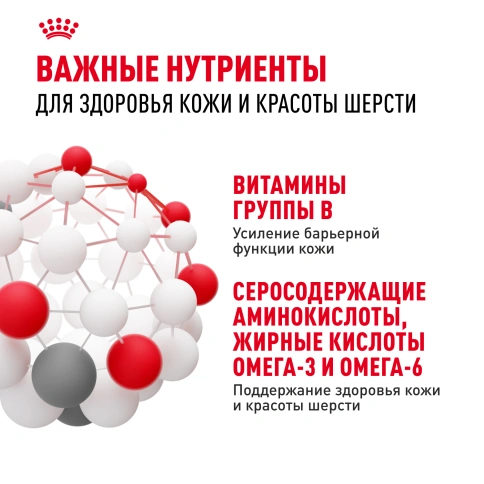 Сухой корм Royal Canin Hair & Skin Care для кошек, 400 г фото 4