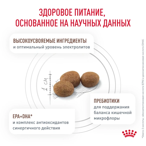 Сухой корм Royal Canin Gastrointestinal Moderate Calorie для кошек, 2 кг фото 4