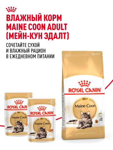 Сухой корм Royal Canin Maine Coon для кошек, 2 кг фото 29