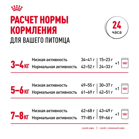 Влажный корм Royal Canin British Shorthair в соусе для кошек породы британская короткошерстная и шотландская вислоухая старше 1 года, пауч, 85 г фото 7