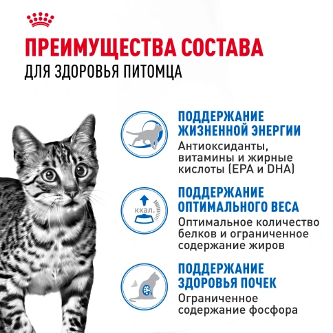 Влажный корм Royal Canin Indoor 7+ в желе для кошек старше 7 лет, живущих в помещении, пауч, 85 г фото 3