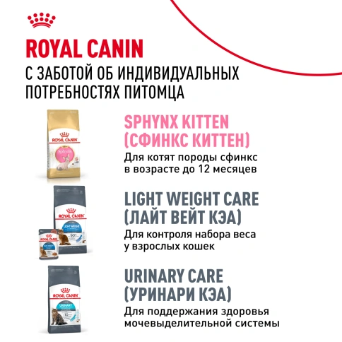 Сухой корм Royal Canin Sphynx для кошек породы сфинкс, 10 кг фото 10