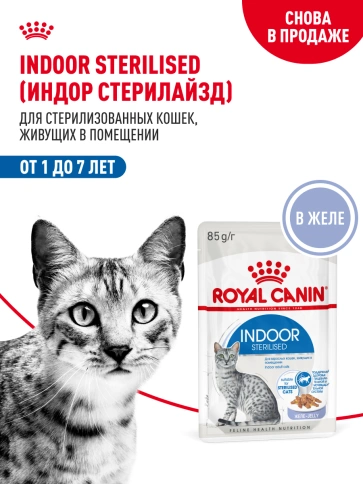 Влажный корм Royal Canin Indoor sterilised в желе для кошек, живущих в помещении, пауч, 85 г фото 14