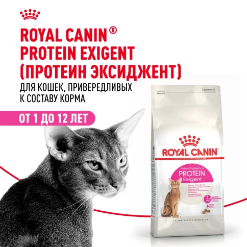 Сухой корм Royal Canin Protein Exigent для кошек фото 12