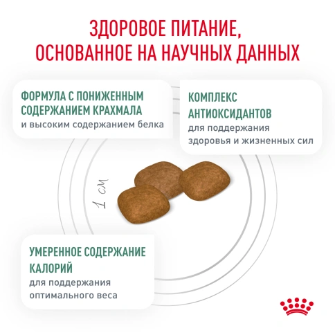 Сухой корм Royal Canin Diabetiс для собак, 1,5 кг фото 3