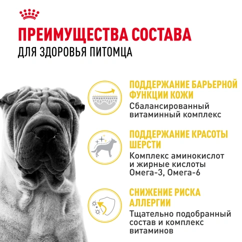 Сухой корм Royal Canin Medium Dermacomfort для собак, 10 кг фото 3