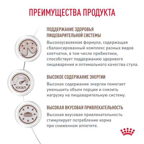 Сухой корм Royal Canin Gastrointestinal для собак, 2 кг фото 2