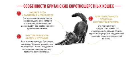 Сухой корм Royal Canin British Shorthair для кошек породы британская короткошерстная, 400 г фото 15