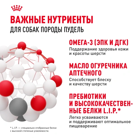 Сухой корм Royal Canin Poodle Adult для взрослых собак, 1,5 кг фото 4