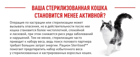 Сухой корм Royal Canin Sterilised для кастрированных котов и стерилизованных кошек, 4 кг фото 15