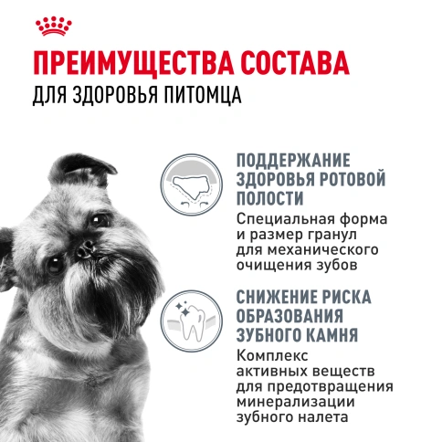 Сухой корм Royal Canin Mini Dental Care для собак, 3 кг фото 3