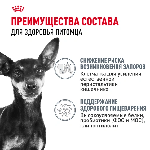 Сухой корм Royal Canin Mini Digestive Care для собак, 1 кг фото 3