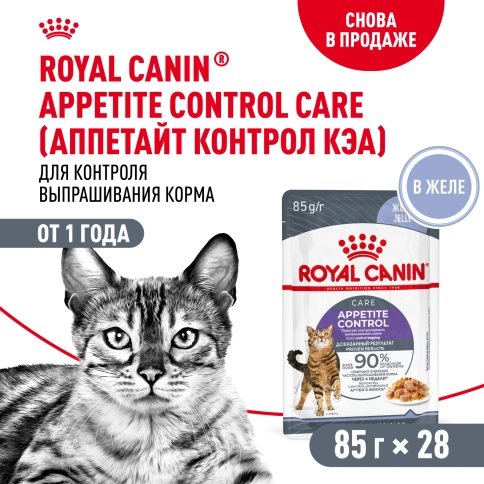 Влажный корм Royal Canin Appetite Control Care в желе для взрослых кошек, для контроля выпрашивания корма, пауч, 85 г фото 12