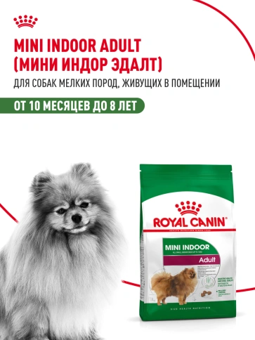 Сухой корм Royal Canin Mini Indoor Adult для собак, 3 кг фото 13