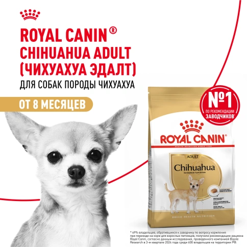 Сухой корм Royal Canin Chihuahua Adult для собак породы чихуахуа, 500 г фото 13