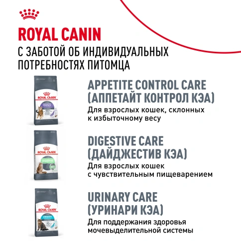 Сухой корм Royal Canin Dental Care для кошек, 1,5 кг фото 10