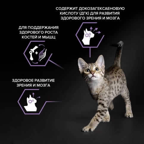 Сухой корм PRO PLAN Chicken для котят от 1 до 12 месяцев, с высоким содержанием курицы, 10 кг фото 2