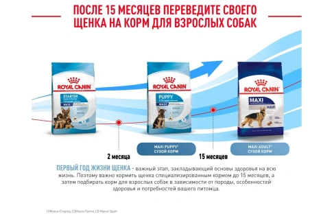 Сухой корм Royal Canin Maxi Starter Mother & Babydog для собак, 4 кг фото 2