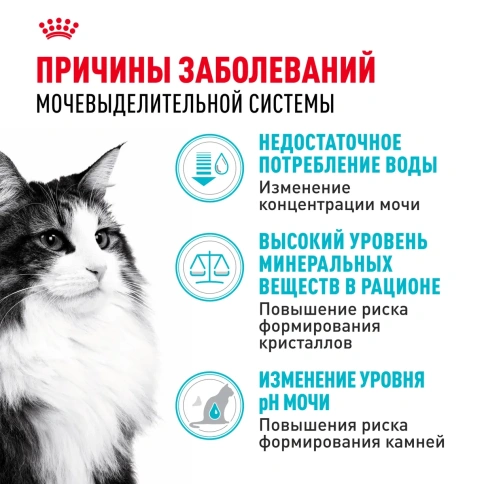 Сухой корм Royal Canin Urinary Care для поддержания здоровья мочевыделительной системы кошек, 4 кг фото 2