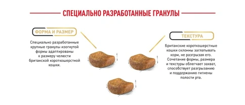 Сухой корм Royal Canin British Shorthair для кошек породы британская короткошерстная, 4 кг фото 20