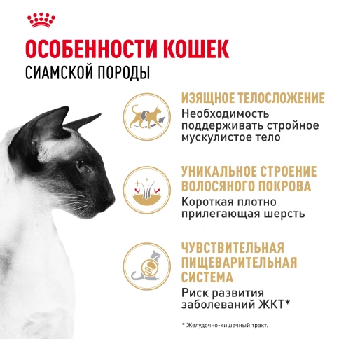 Сухой корм Royal Canin Siamese для кошек сиамской породы, 400 г фото 2