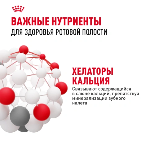 Сухой корм Royal Canin Dental Care для кошек, 400 г фото 5