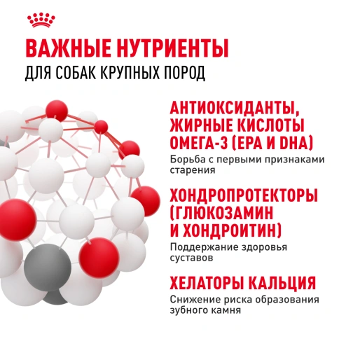 Сухой корм Royal Canin Maxi Adult 5+ для собак, 4 кг фото 5