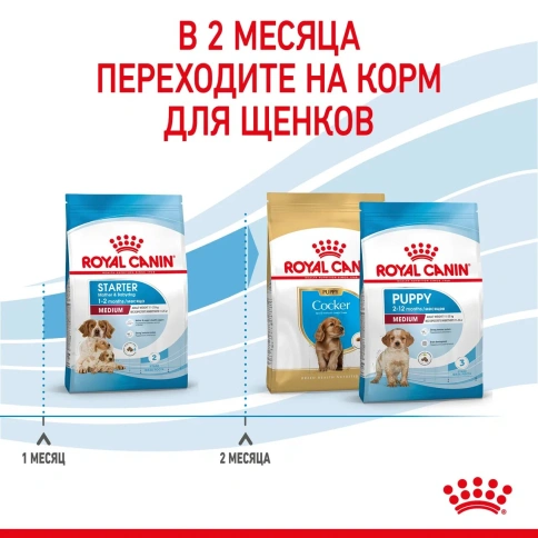 Сухой корм Royal Canin Medium Starter Mother & Babydog для собак, 12 кг фото 5