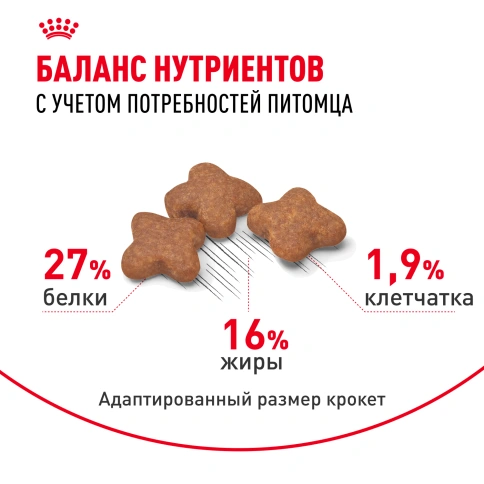 Сухой корм Royal Canin Mini Adult для взрослых собак, 800 фото 4