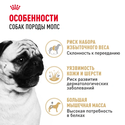 Сухой корм Royal Canin Pug Adult для взрослых собак, 1,5 кг фото 2