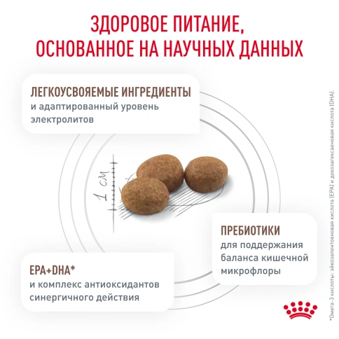 Сухой корм Royal Canin Gastrointestinal Low Fat Small Dogs для собак, 3 кг фото 7