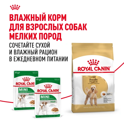 Сухой корм Royal Canin Poodle Adult для взрослых собак, 3 кг фото 8