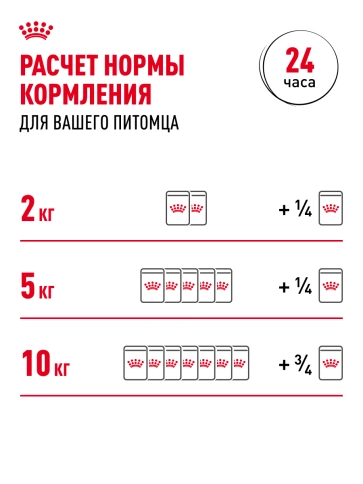 Влажный корм Royal Canin Mini Adult в соусе для взрослых собак мелких пород старше 10 месяцев, пауч, 85 г фото 8