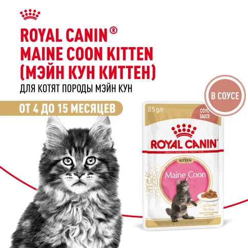 Влажный корм Royal Canin Maine Coon Kitten в соусе для котят породы мейн-кун и других крупных пород старше 3 месяцев, пауч, 85 г фото 19