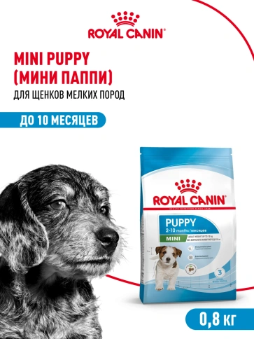 Сухой корм Royal Canin Mini Puppy для щенков, 800 г фото 14
