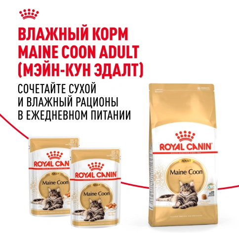 Сухой корм Royal Canin Maine Coon для кошек, 4 кг фото 8