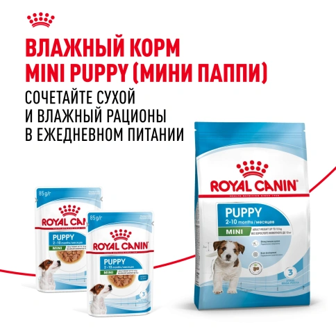 Сухой корм Royal Canin Mini Puppy для щенков, 2 кг фото 8