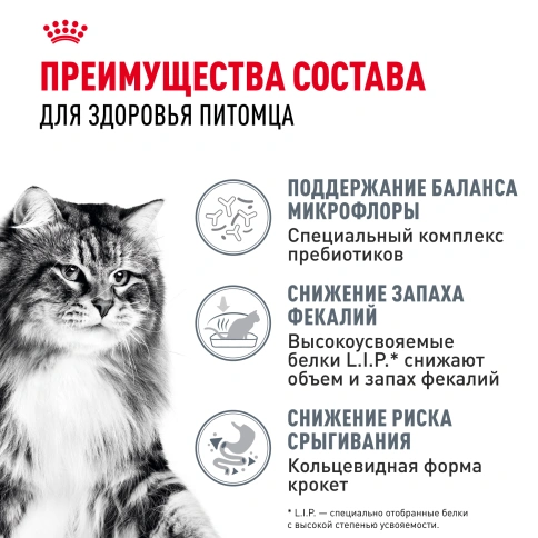 Сухой корм Royal Canin Digestive Care для кошек, 400 г фото 3