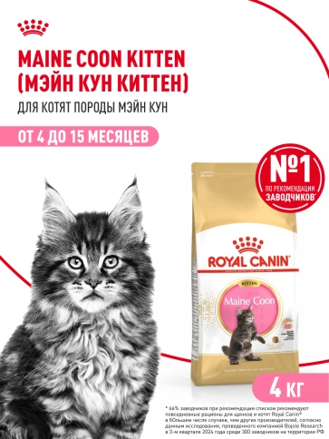 Сухой корм Royal Canin Kitten Maine Coon для котят, 4 кг фото 15