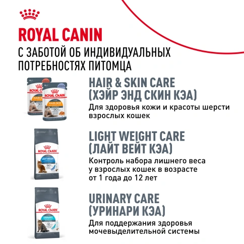 Сухой корм Royal Canin Siamese для кошек сиамской породы, 2 кг фото 10