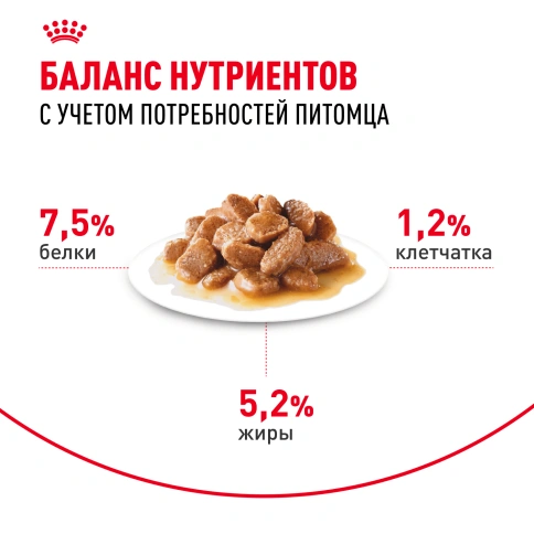 Влажный корм Royal Canin Mini Adult в соусе для взрослых собак мелких пород старше 10 месяцев, пауч, 85 г фото 11